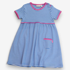 Blue striped dress pink lining
