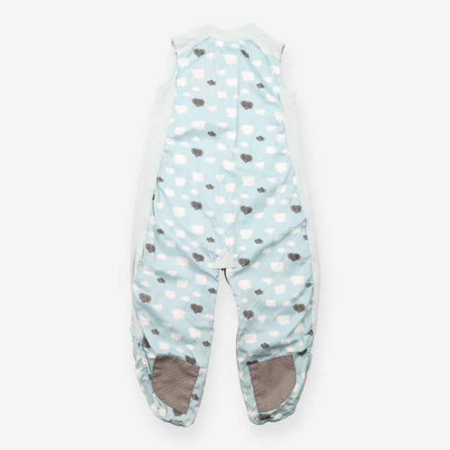 Ergo Pouch Sleeping Bag Mint Cloud s Print 2 in 1 
