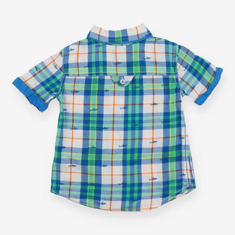 Green and Blue Plaid Shark Shirt