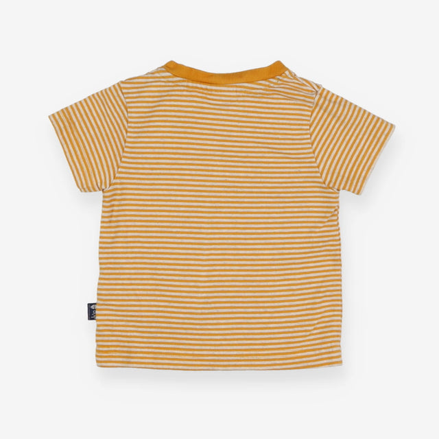 T-Shirt Golden Yellow Stripe