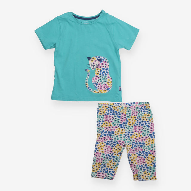 Leopard Print Leggings and T-shirt Outfit