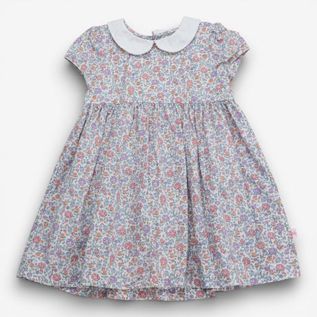Dress Collared Ditsy Floral with Bloomers