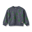 Greyblue Holiday Sandro Sweatshirt L/S