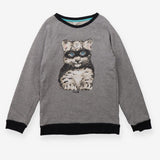 Sweater grey hero cat