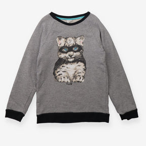 Sweater grey hero cat
