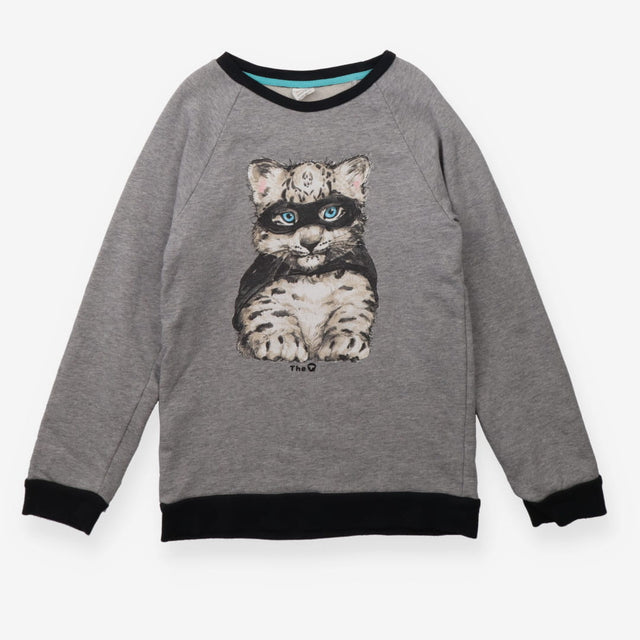 Sweater grey hero cat