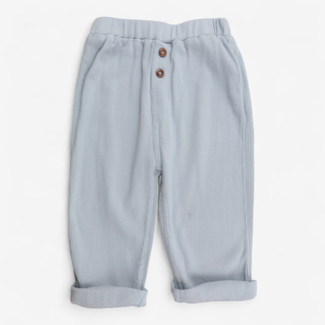 Trousers baby blue ribbed with brown buttons