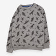 Grey dinosaur sweatshirt