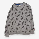 Grey dinosaur sweatshirt