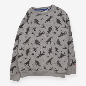 Grey dinosaur sweatshirt
