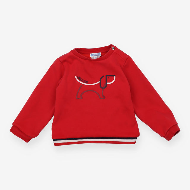 Red jersey sweater sausage dog