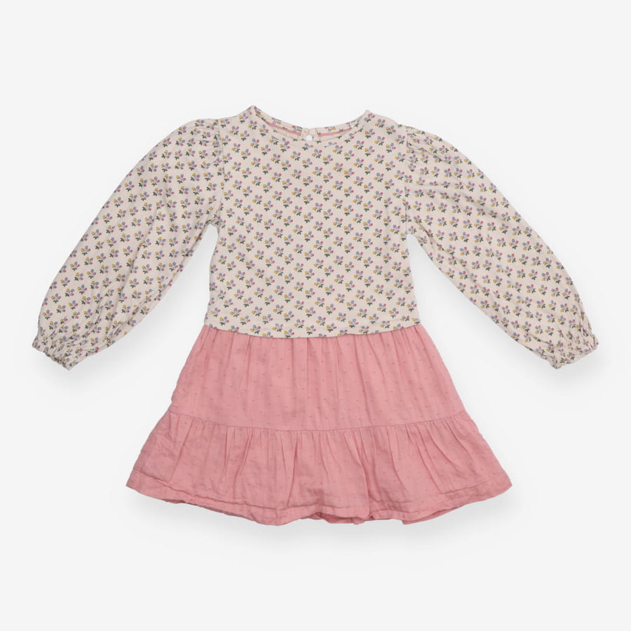 Dress Long Sleeve Cream and Pink Berries
