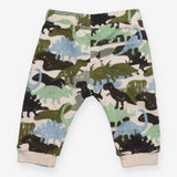 Joggers dinosaurs