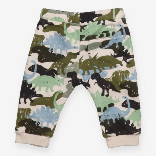 Joggers dinosaurs