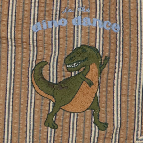 Brown striped swim shorts with dinosaur