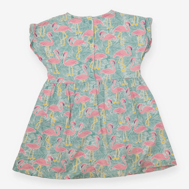 Dress green flamingo