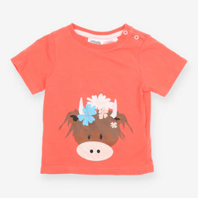 T-shirt highland cow orange 