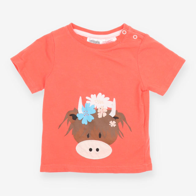 T-shirt highland cow orange 